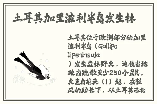 漂亮的丰年经的推荐理由